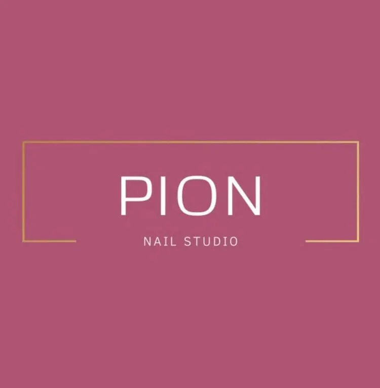 «PION»
